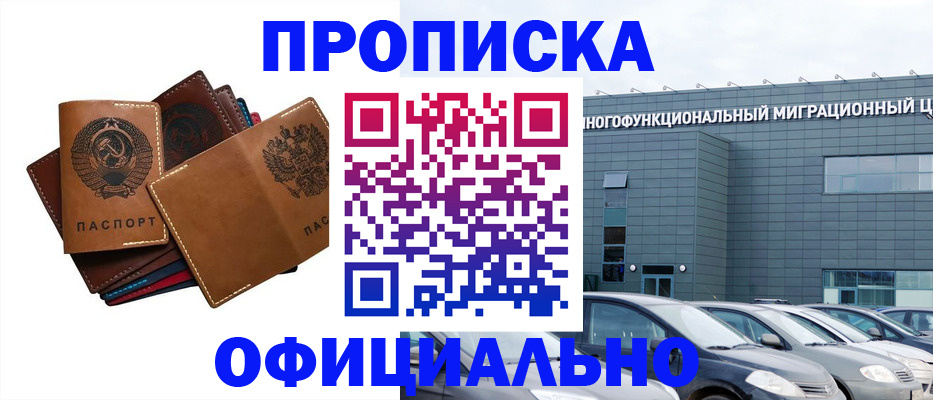 прописка в квартире в Щёкино